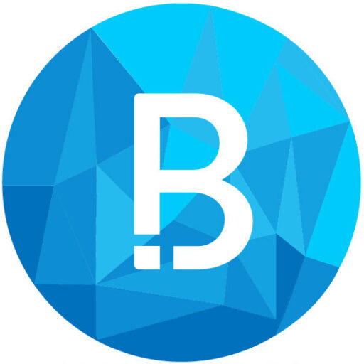 Brook Marketing Solutions  Logo